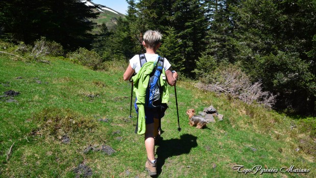 Randonnee-La-Peyre-1821m_098