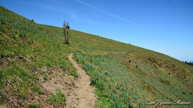Randonnee-La-Peyre-1821m_104
