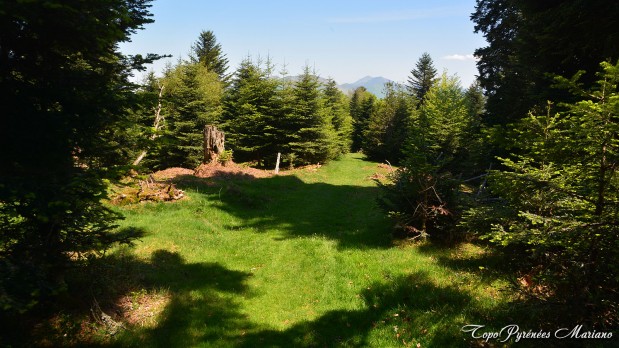 Randonnee-La-Peyre-1821m_107