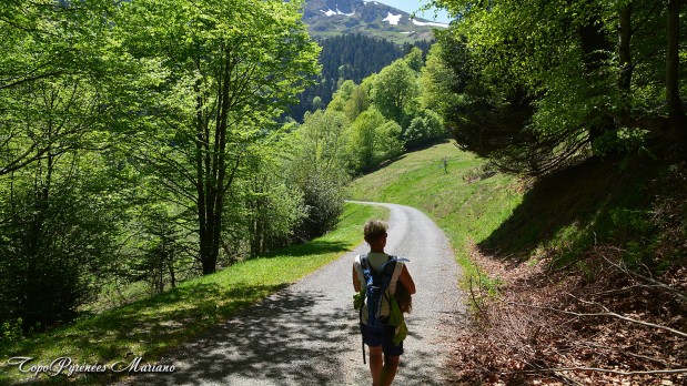 Randonnee-La-Peyre-1821m_111