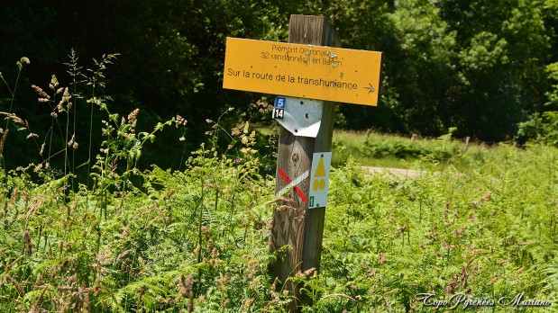 Randonnee-Boucle-Croix-de-Buzy-Bescat_019