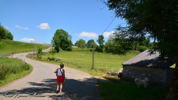 Randonnee-Boucle-Croix-de-Buzy-Bescat_038