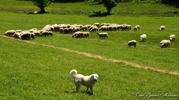 Randonnee-Boucle-Croix-de-Buzy-Bescat_039