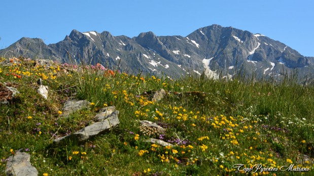 Randonnee-Punta-Sorpena-2249m_011