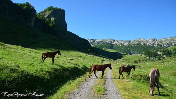 Randonnee-Table-de-Souperet-2116m_005