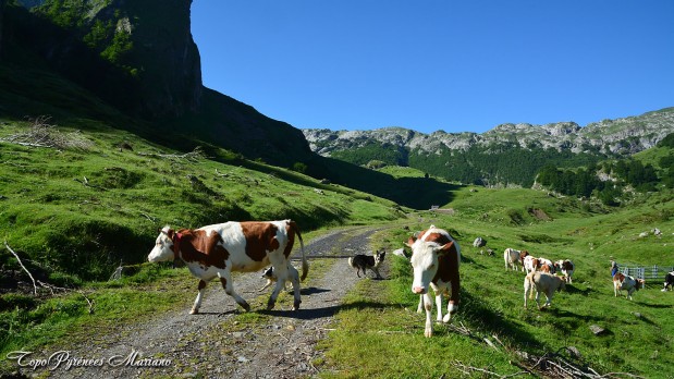 Randonnee-Table-de-Souperet-2116m_006