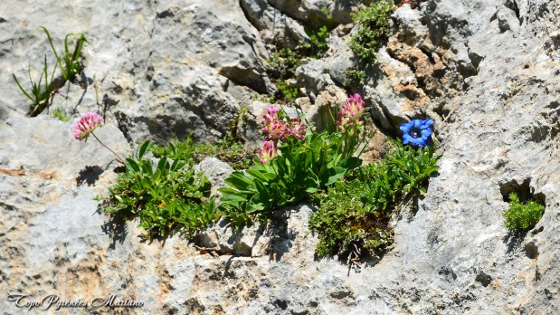 Randonnee-Table-de-Souperet-2116m_055
