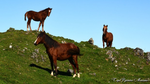 Randonnee-Sommet-de-Mustayou_081