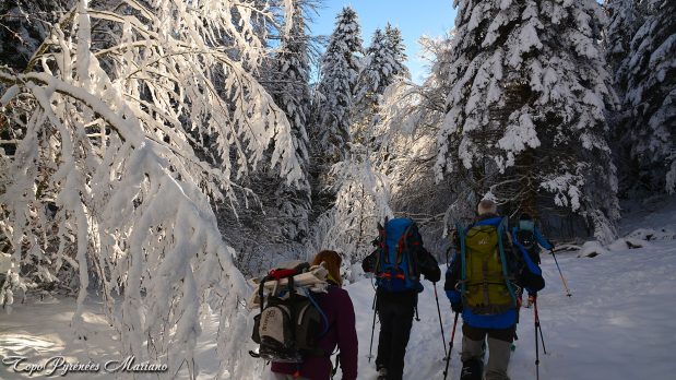 Randonnee-hivernale-aux-cretes-de-Barlagne_004
