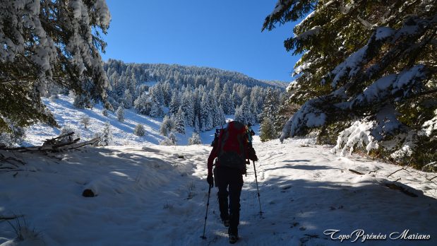 Randonnee-hivernale-aux-cretes-de-Barlagne_007