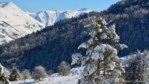 Randonnee-hivernale-aux-cretes-de-Barlagne_010