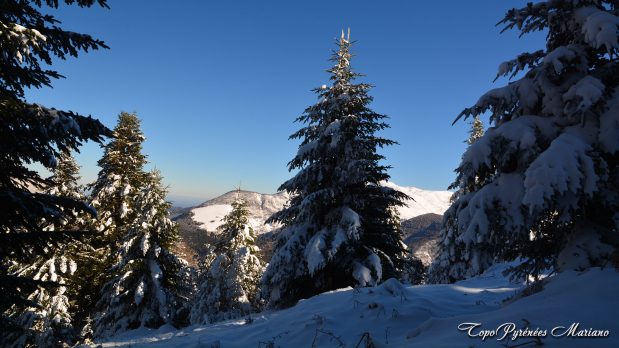 Randonnee-hivernale-aux-cretes-de-Barlagne_012