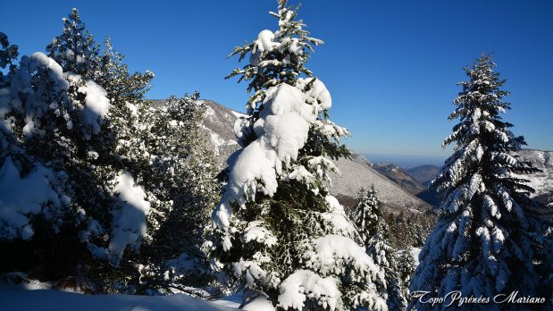 Randonnee-hivernale-aux-cretes-de-Barlagne_013