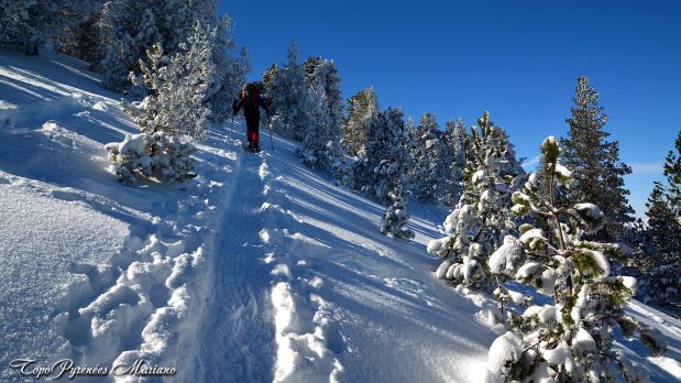 Randonnee-hivernale-aux-cretes-de-Barlagne_029