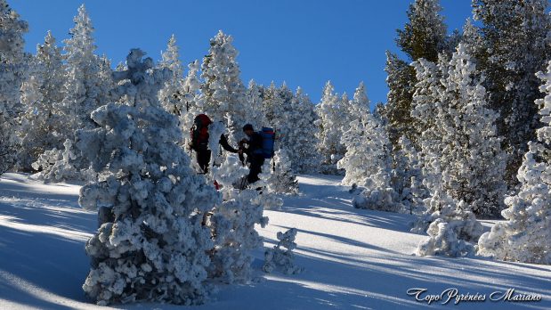 Randonnee-hivernale-aux-cretes-de-Barlagne_030