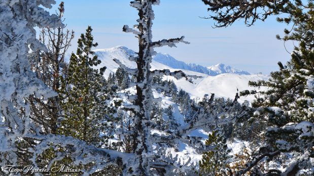 Randonnee-hivernale-aux-cretes-de-Barlagne_076