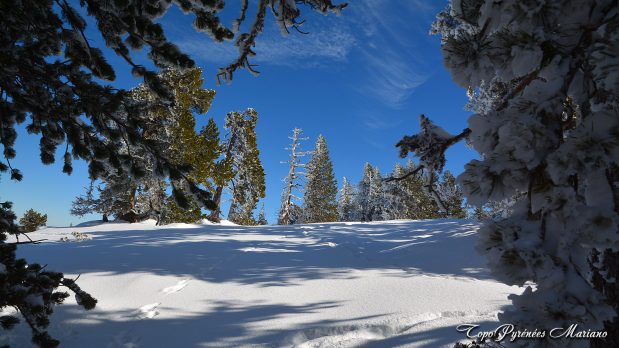 Randonnee-hivernale-aux-cretes-de-Barlagne_080