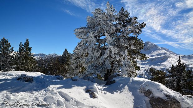 Randonnee-hivernale-aux-cretes-de-Barlagne_082