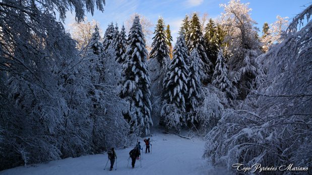Randonnee-hivernale-aux-cretes-de-Barlagne_101