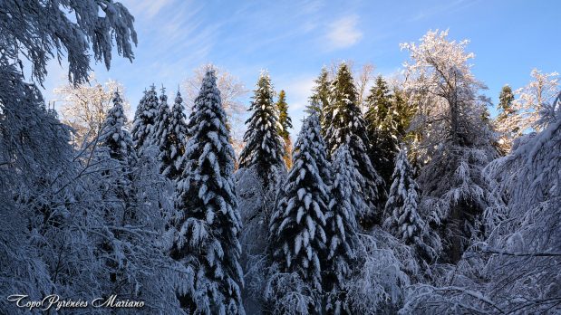 Randonnee-hivernale-aux-cretes-de-Barlagne_102