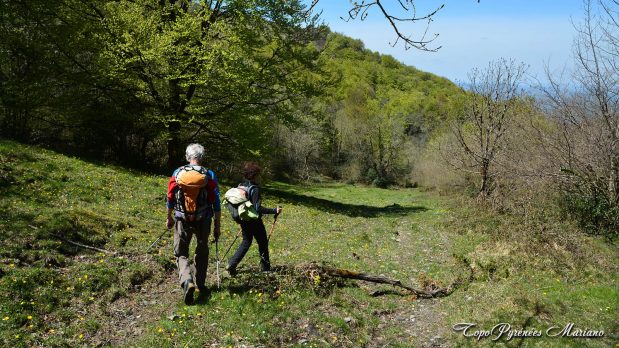 Randonnee-Mail-Arrouy-vallee-d-Aspe_074