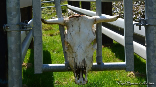 Randonnee-Mail-Arrouy-vallee-d-Aspe_076