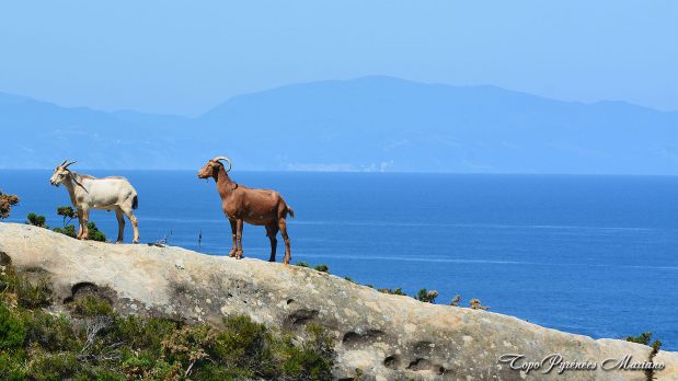 Randonnee-Fontarrabie-Pasaia_066
