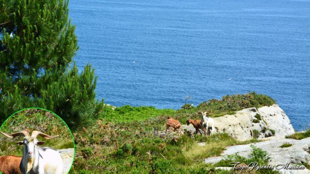 Randonnee-Fontarrabie-Pasaia_068