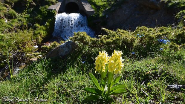 Randonnee-Puy-Arcol-2417m_014