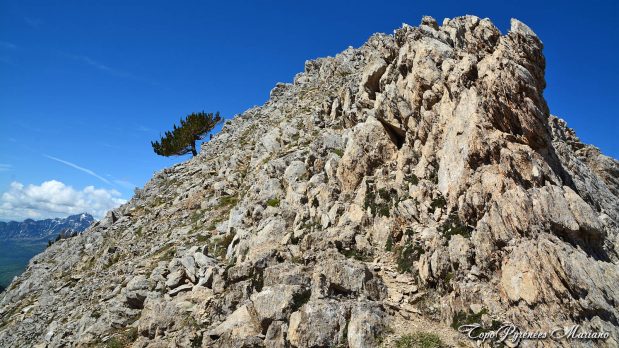 Randonnee-Puy-Arcol-2417m_038