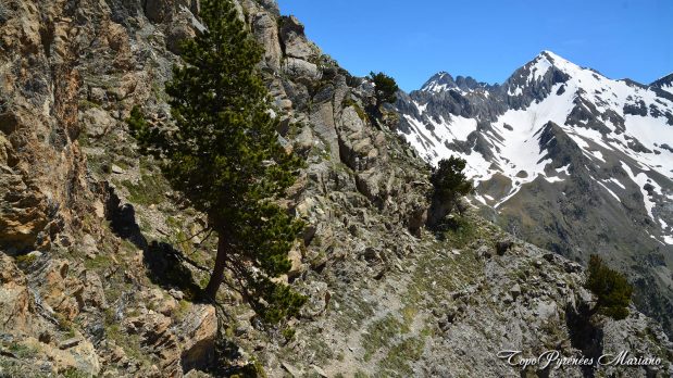 Randonnee-Puy-Arcol-2417m_098