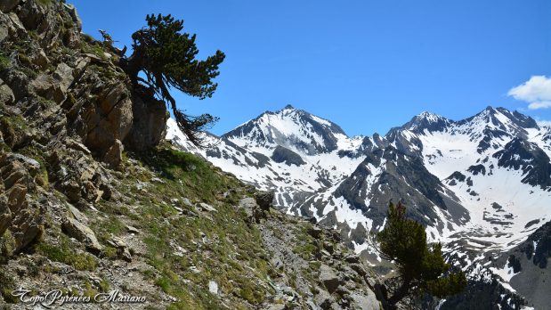 Randonnee-Puy-Arcol-2417m_101