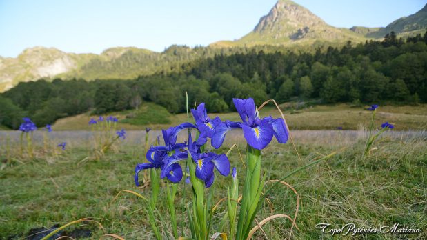 Randonnee-Pic-Hourquette-2384m_004