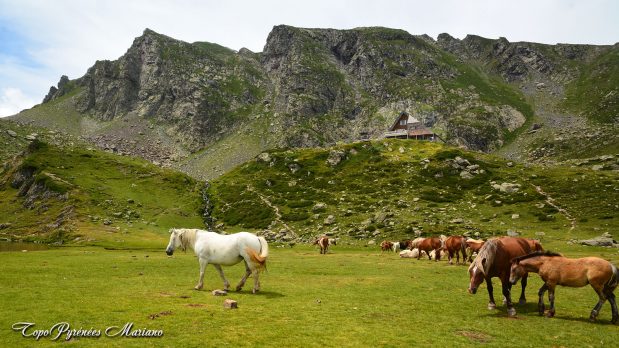 Randonnee-Pic-Hourquette-2384m_081