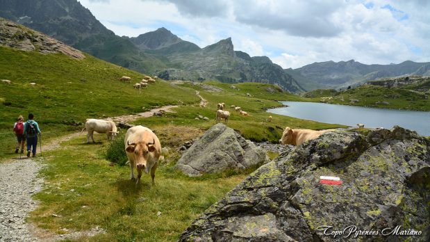 Randonnee-Pic-Hourquette-2384m_087