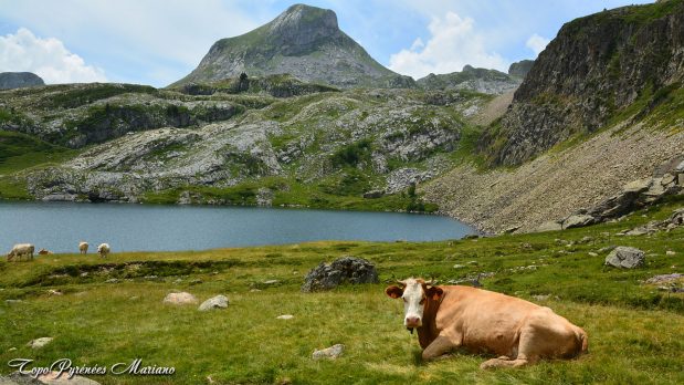Randonnee-Pic-Hourquette-2384m_088