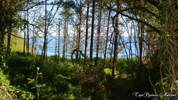 Randonnee-Saint-Sebastien-Orio_038