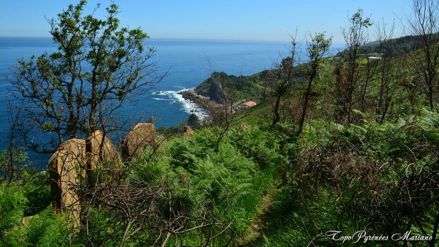 Randonnee-Saint-Sebastien-Orio_049