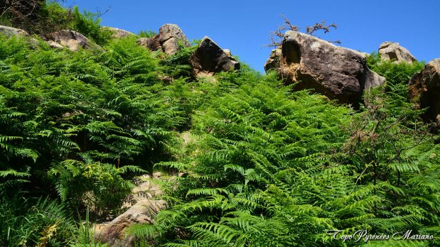 Randonnee-Saint-Sebastien-Orio_058