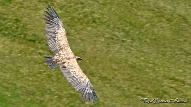 Randonnee-Pic-de-Gabiet-2716m_082