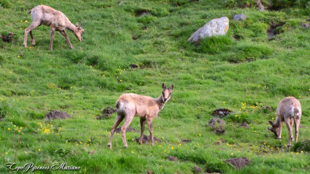 Randonnee-Pico-de-Toronzue_083