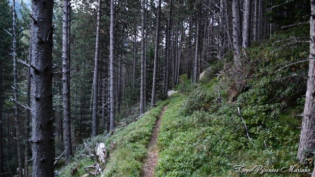 Randonnee-Camino-de-las-Pardas_005