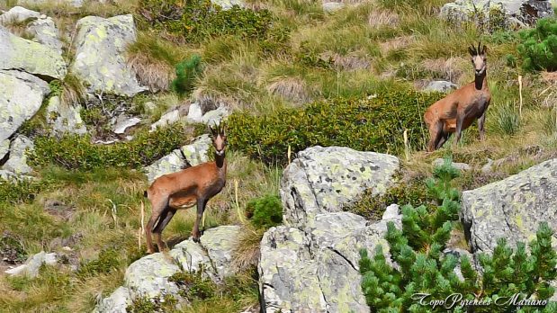 Randonnee-Camino-de-las-Pardas_017