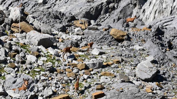 Randonnee-Pic-Lecherin-2567m_079