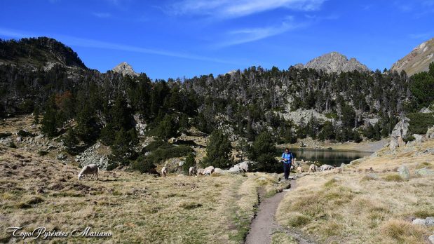 Randonnee-Pic-Bastan-2715m_116