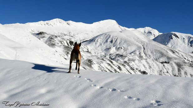 Raquettes-Pic-Coos-et-Tousseau_030