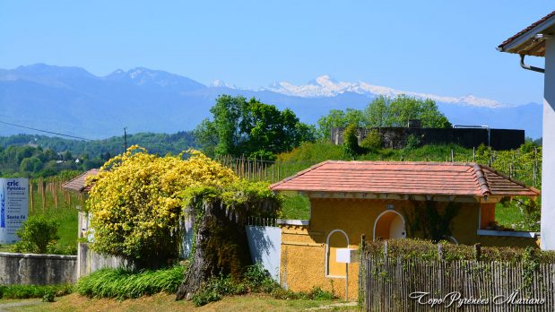 Randonnee-Coteaux-Jurancon_010