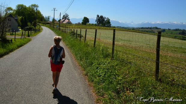 Randonnee-Coteaux-Jurancon_015