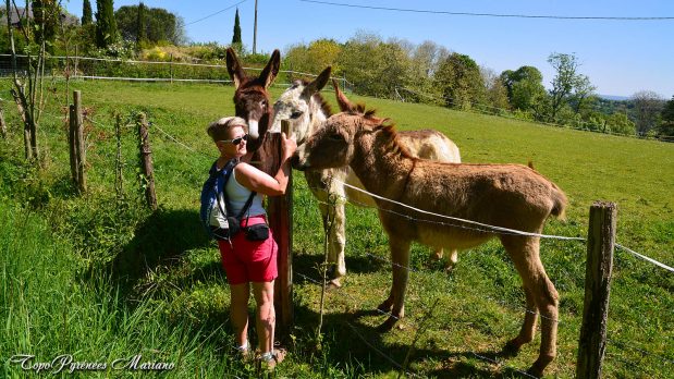Randonnee-Coteaux-Jurancon_019