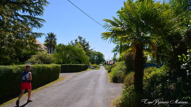 Randonnee-Coteaux-Jurancon_036